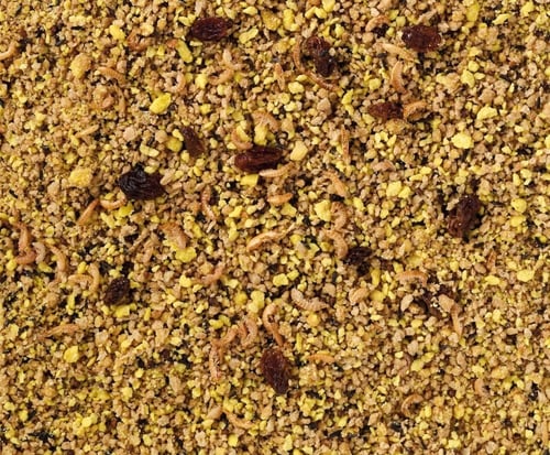 ديلي ناتشر باتيه البيض المجفف طعام الببغاء والطيور...