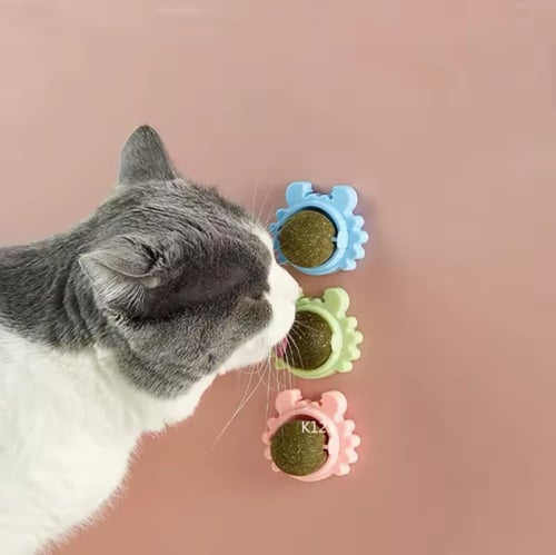 كرة الكاتنيب من اوراق النعناع البري لتنظيف الأسنان...