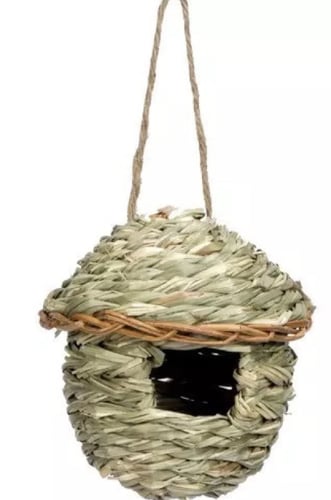 اعشاش وبيوت الزيبرا والعصافير الصغيرة