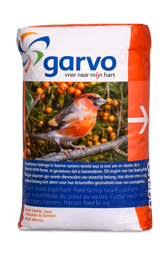 Garvo خلطة الحسون الأوروبي والسيسكين مع بذور الشوك...
