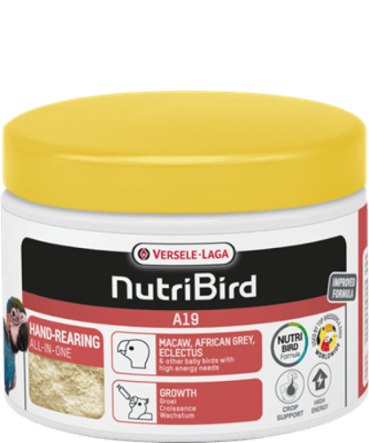 فيرسل لاقا سيريلاك طيور اي 19 VERSEL-LAGA NurtiBir...