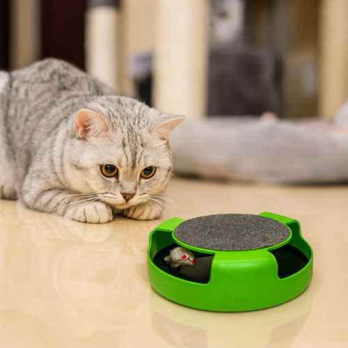 لعبة القطط التفاعلية مع فأر دوار وسطح خدش – لتنمية...