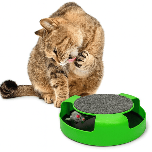 لعبة القطط التفاعلية مع فأر دوار وسطح خدش – لتنمية...