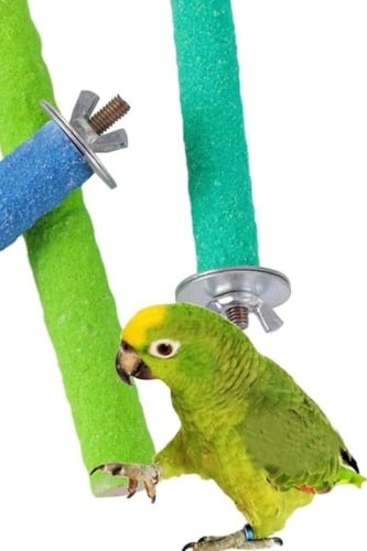 مجثم مبرد حجم كبير مناسب للكاسكو مكاو أمازوني درة...