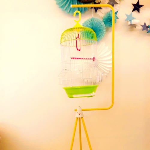 قفص مع استاند الطيور الصغيرة