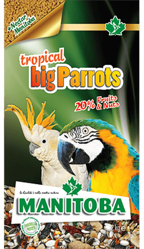 مانيتوبا غذاء الببغاوات الاستوائية كبيرة الحجم - ا...