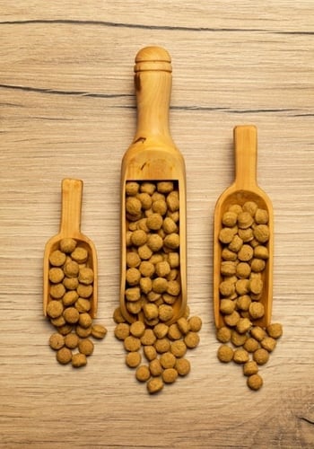 سيتاكوس غذاء الأمازوني عالي البروتين PISTTACUS Hig...