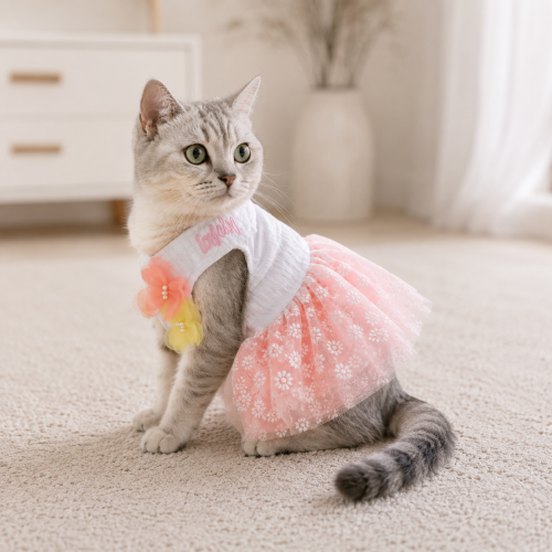فساتين قطط ملابس قطط مقاس ميديم M (اختيار الموديل عشوائي) cat dress - cat clothes