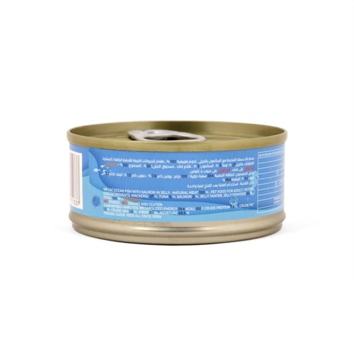 مستر كات سمك المحيط مع السالمون بالجيلي طعام القطط...