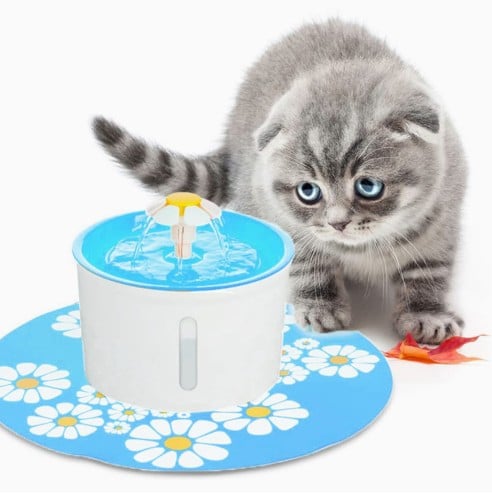 نافورة كهربائية مع فلتر لترشيح المياه Pet water Fo...