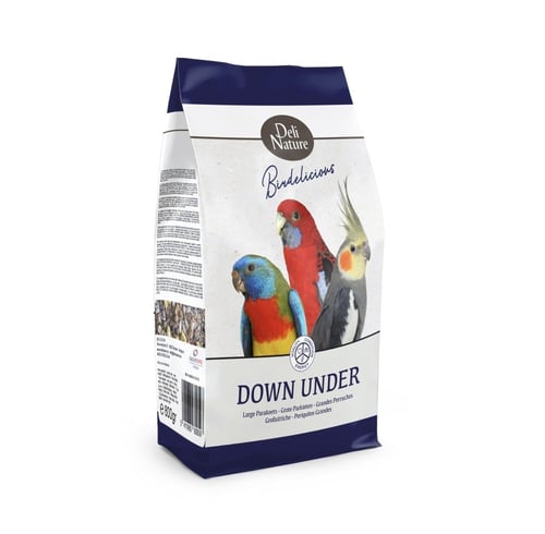 ديلي ناتشر غذاء الروز والكروان خليط البذور والفواك...