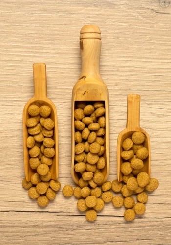 غذاء يومي للببغاوات عالي الطاقة - غذاء الكاسكو من...