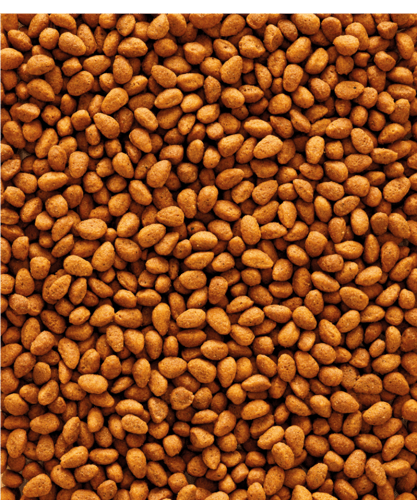 فيرسل لاقا اوريجنال طعام البراكيت - حبيبات باليتس...