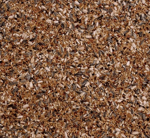 ديلي ناتشر اكل الروز - طعام الروز والكروان خليط مش...