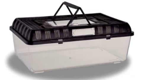 حضانة بلاستك - صندوق شفاف لتربية الطيور والزواحف و...