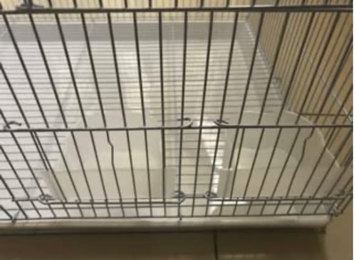 قفص 601 فاصل للكناري والبلابل والروز والكروان والط...