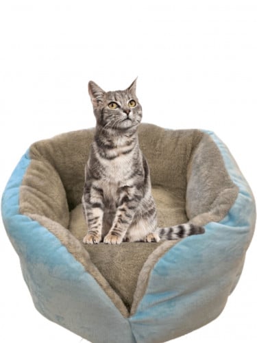 سرير للقطط دائري - حجم متوسط