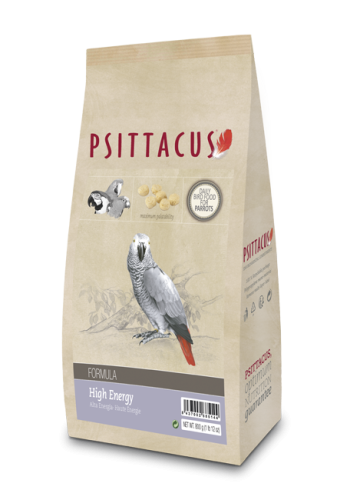 غذاء يومي للببغاوات عالي الطاقة - غذاء الكاسكو من...