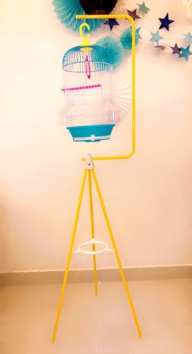 قفص مع استاند الطيور الصغيرة