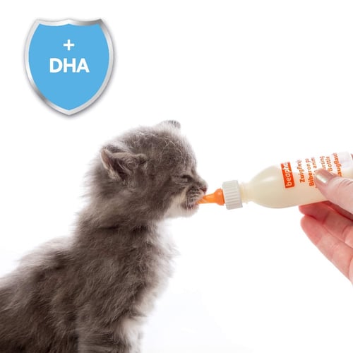 بيفار رضاعة للحيوانات الصغيرة + فرشاة تنظيف Beapha...