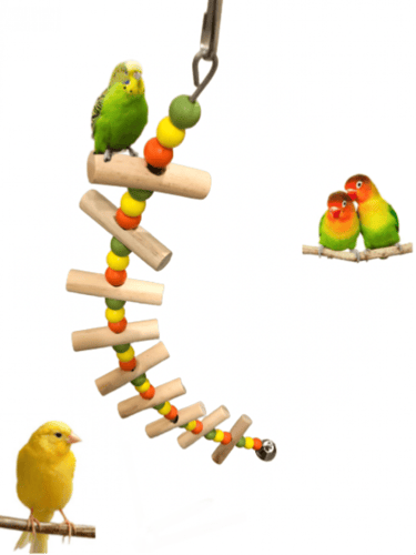 لعبة طيور مرجيحة طيور تعليق مع جرس - مجثم ببغاوات...