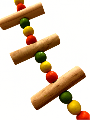 لعبة طيور مرجيحة طيور تعليق مع جرس - مجثم ببغاوات...