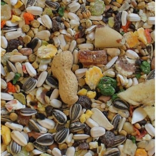 مانيتوبا غذاء الببغاوات الاستوائية كبيرة الحجم - ا...