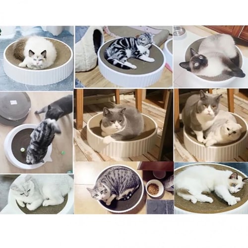 لوحة خدش دائرية برائحة النعناع البري - حجم كبير