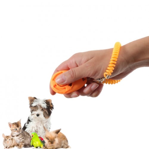 زولوكس كليكر لتدريب القطط والطيور والحيوانات الالي...