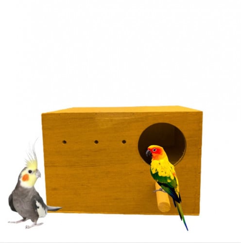 حضانة طيور خشبية بياضة صن كنيور ، الكنيور ، الكروا...