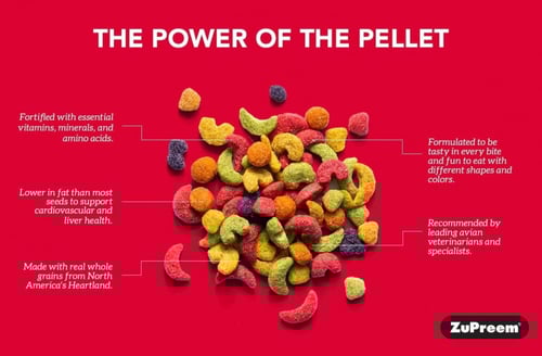 زوبريم خليط الفواكه لطيور البادجي والطيور الصغيرة...