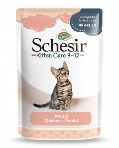 شيزر اظرف الدجاج الرطبة للقطط الصغيرة في الجيلي Sc...