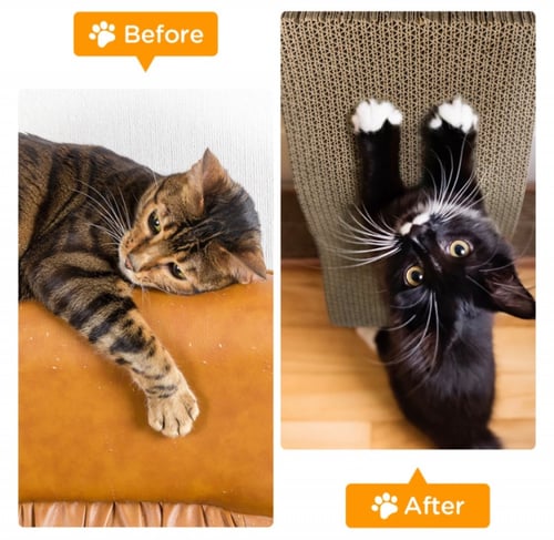 لوحة خدش كرتونية برائحة النعناع البري - حجم وسط