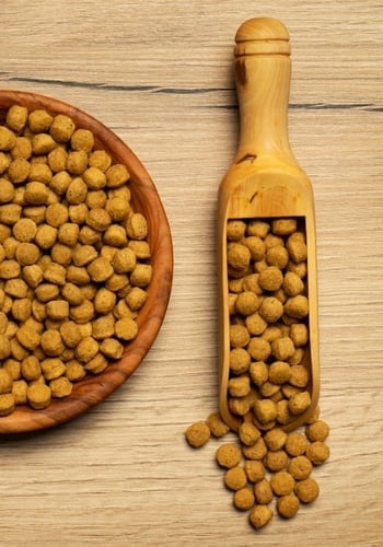 سيتاكوس غذاء الأمازوني عالي البروتين PISTTACUS Hig...