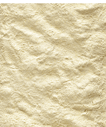 فيرسل لاقا سيريلاك طيور اي 21 VERSEL-LAGA NurtiBir...