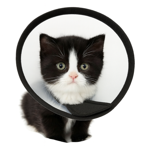 طوق استحمام القطط - طوق الحماية من الجروح بعد العم...