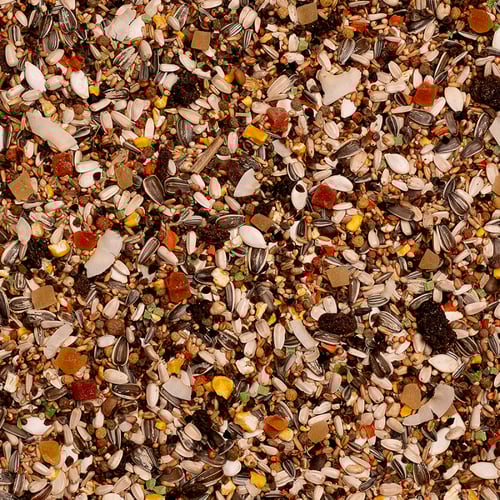 ديلي ناتشر أكل الببغاء خليط البذور مع الفواكه والخ...