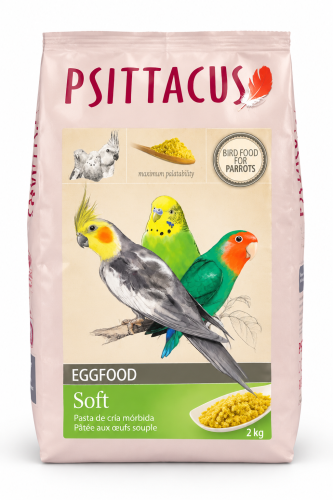 Psittacus Soft Eggfood باتية البيض من سيتاكوس 5kg