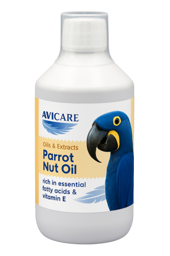 أفيكير زيت المكسرات للطاقة والخصوبة AviCare Parrot...