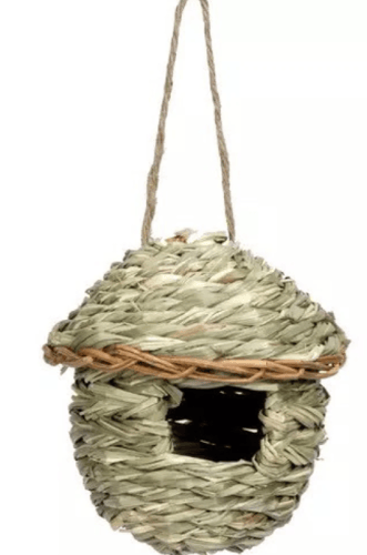 اعشاش وبيوت الزيبرا والعصافير الصغيرة