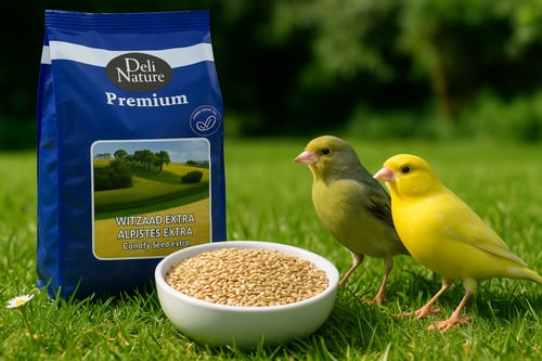 ديلي ناتشر خليط من البذور ساده - اكل الكناري والعص...