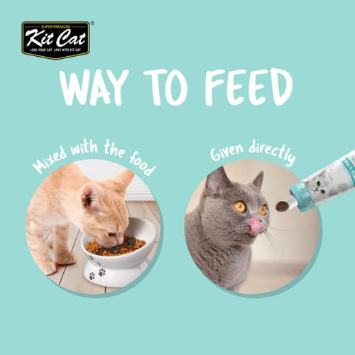 كت كات مكمل غذائي يومي معجون فيتامين لدعم نمو القط...