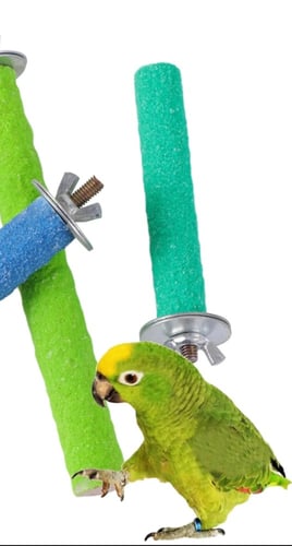 مجثم مبرد حجم كبير جدا مناسب للكاسكو مكاو أمازوني...