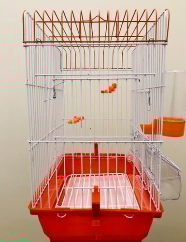 قفص طيور معدني بحواف مستطيلة الشكل قفص ببغاوات روز...