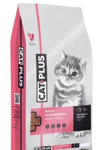 كات بلس اكل قطط كتن دجاج وانشوفه