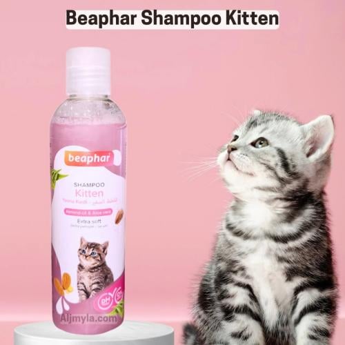 بيفار شامبو القطط الصغيرة بزيت اللوز والصبار Beaph...