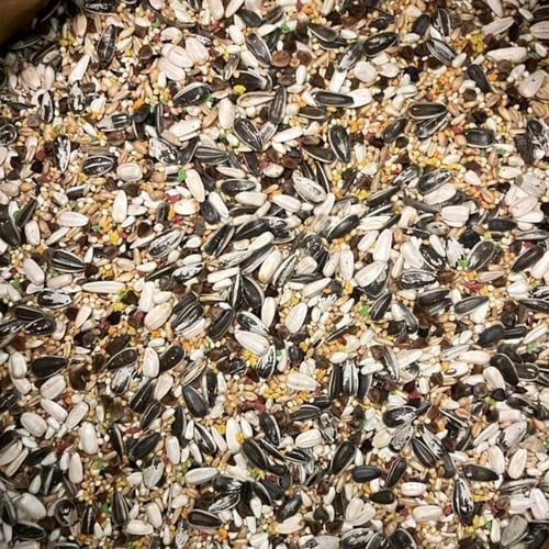 مشكل لطيور الروز الكروان بالفيتامين من وايت ميلون...