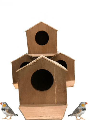 حضانة بياضة طيور خشبية اكواخ وبيوت الزيبرا والعصاف...