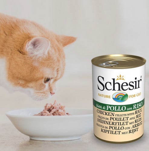 شيزر معلبات الدجاج مع الأرز في الجيلي (طعام رطب لل...