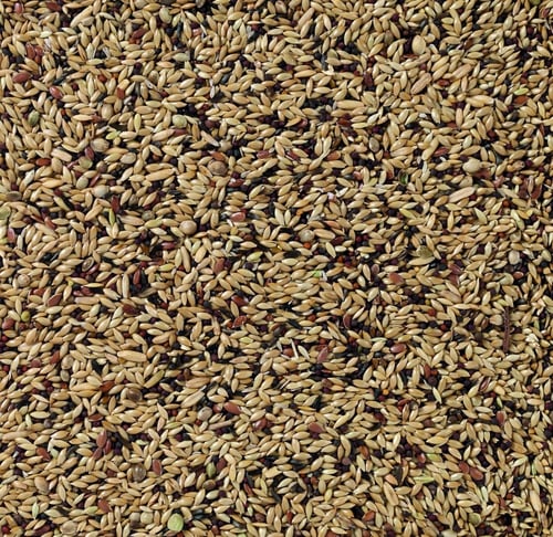 ديلي ناتشر اكل طيور الكناري - خليط مشكل لطيور الكن...